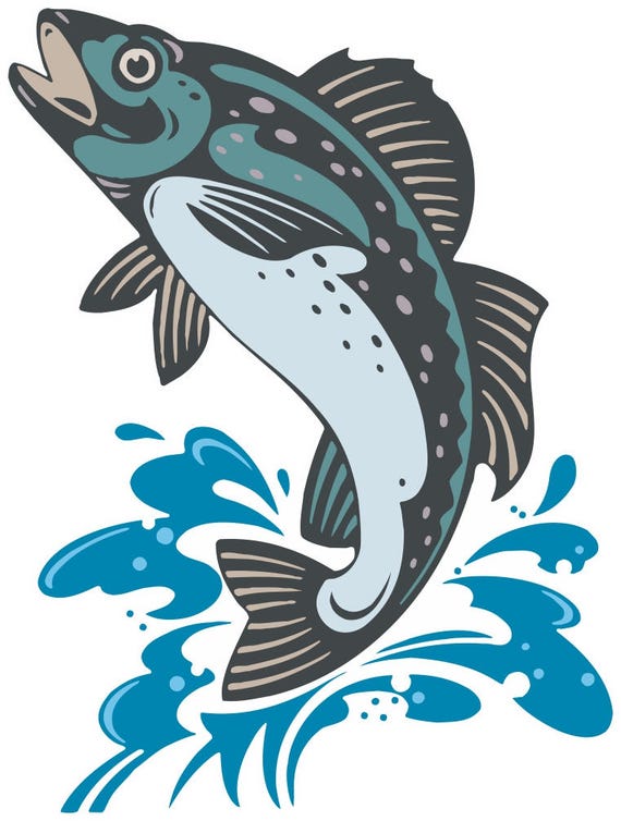 Spotted Bass Fish Vinyl Sticker/Decal
