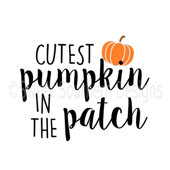 Download Cutest pumpkin in the patch halloween SVG instant download ...