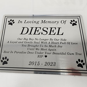 Pet Memorial Plaque 12x8cm (Plain Typeface)