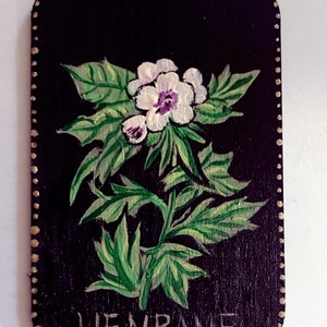 Henbane , Floral