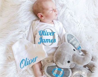 Cesta de regalo para baby shower de niño nuevo, personalizada, con estadísticas de nacimiento de elefante para niña, canasta de regalo con monograma de animal de peluche, regalo para bebé gemelo, azul cielo