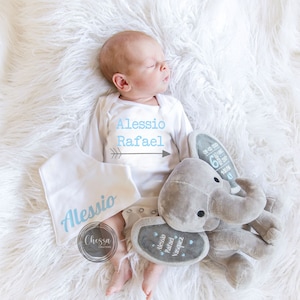 Pode incluir: Um macacão branco com os nomes Alessio Rafael e uma seta impressa. Um babador branco com o nome Alessio impresso. Um brinquedo de pelúcia de elefante cinza com o nome Alessio Rafael Vasquez impresso.