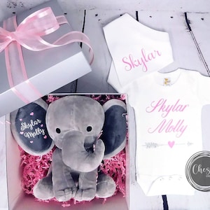 Puede incluir: Una caja de regalo llena de papel de seda rosa, un peluche de elefante gris, un body blanco con los nombres "Skylar Molly" en letras rosas y una babero blanco con el nombre "Skylar" en letras rosas.