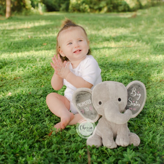 Big Sister Announcement Promoted to Big Sister Stuffed - Etsy Denmark Big Sister Announcement Promoted to Big Sister Stuffed - Etsy Denmark