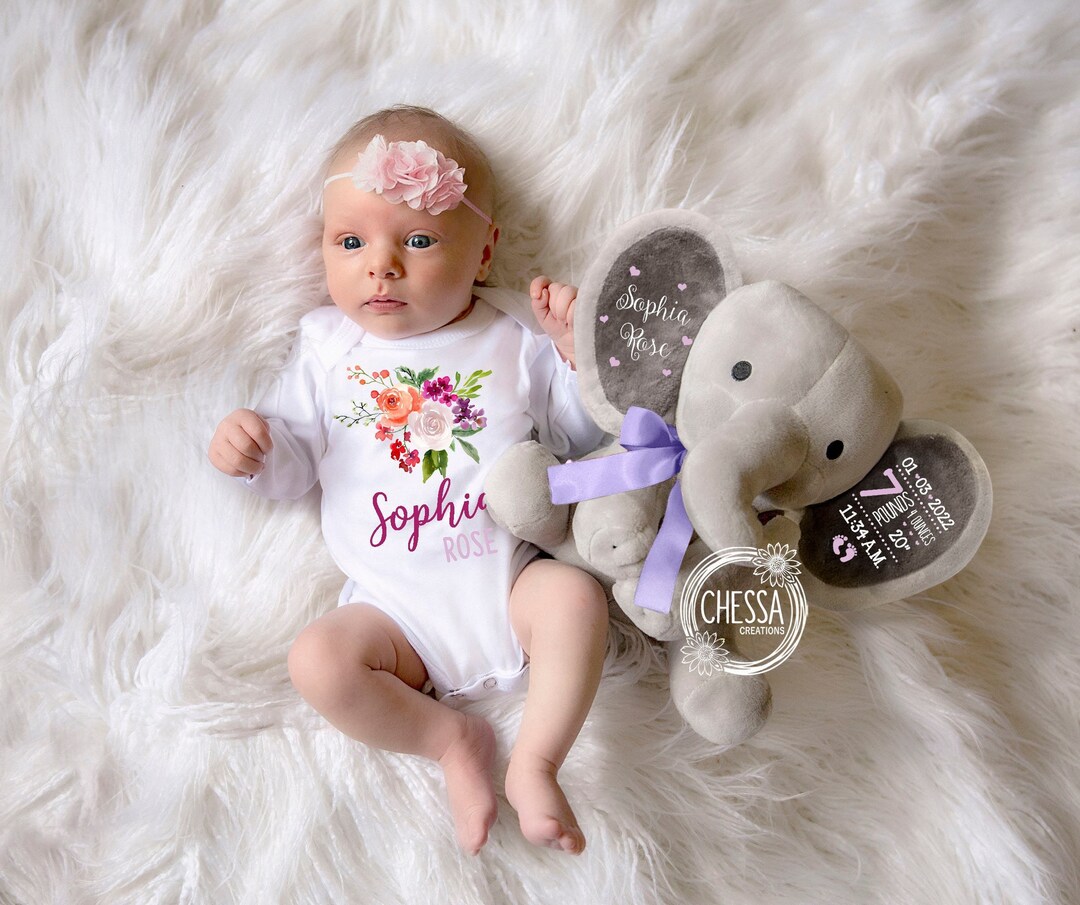 Newborn Baby Girl Shower Gift Basket Set 2-piece Set Customized ...