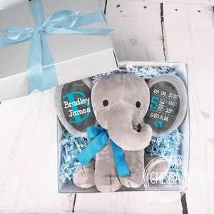 Personalisierte Baby Junge Geschenkkorb, Dusche, individuelle Elefant Geburt Stats Photo Prop, Plüschtier, neue Eltern, Neugeborene, blaugrün
