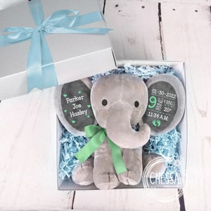 Baby Boy Gift Custom Shower Gift, Elephant Birth Stats Photo Prop, Personalized Stuffed Animal in Gift Basket Blue, New Parent, Mint & White