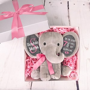 Geschenk für Baby-Mädchen und neue Mutter, rosa Geschenkbox für Babyparty-Geschenkkorb, personalisierter Elefant-Stofftier, Bubblegum rosa