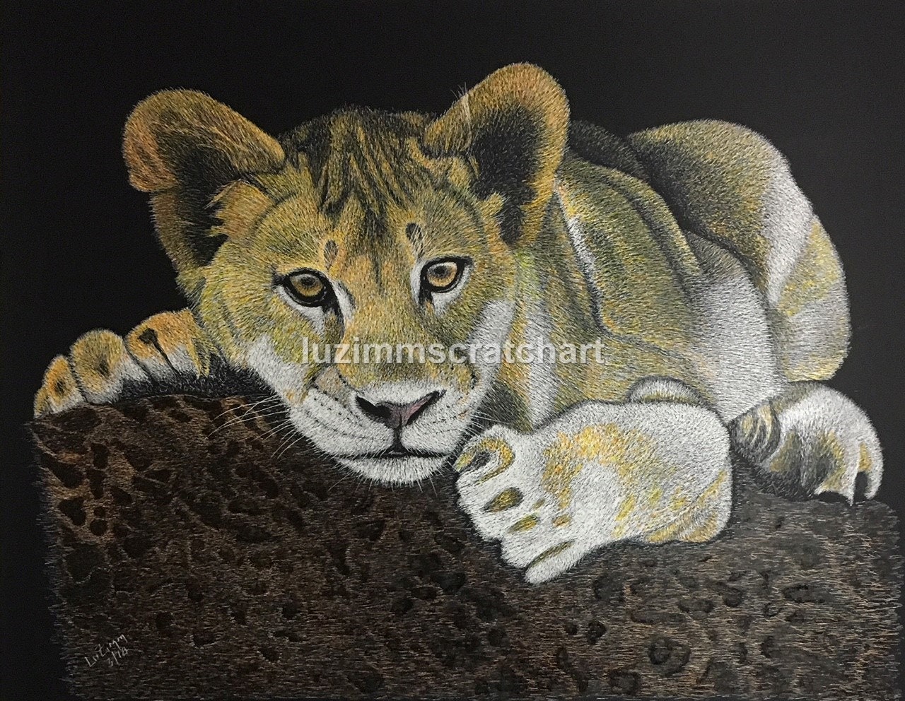 Lion's Cub Scratchboard Art Original 11x14 reg Etsy