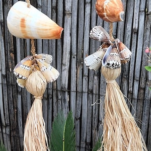 Può includere: Ornamenti decorativi sospesi con conchiglie e fibre naturali. Gli ornamenti presentano grandi conchiglie color crema e conchiglie più piccole con motivi marroni e bianchi. Ogni ornamento ha un nappa di rafia ed è sospeso da una corda intrecciata.