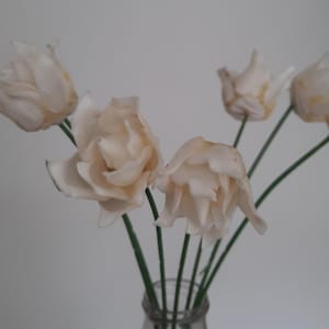 Peut inclure: Un bouquet de fleurs blanches séchées dans un vase en verre transparent. Les fleurs sont disposées dans un style simple et élégant.