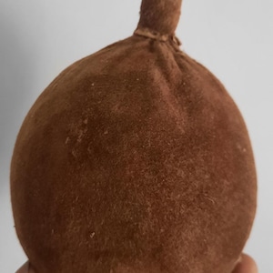 curiosità, tassidermia: frutto del baobab del Madagascar