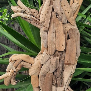 Peut inclure: Sculpture artisanale en bois flotté représentant un oiseau ou un lézard, avec les ailes déployées et une queue. L'œuvre est composée de morceaux de bois naturels de différentes tailles et formes, dans des tons bruns. Fond de feuillage vert.