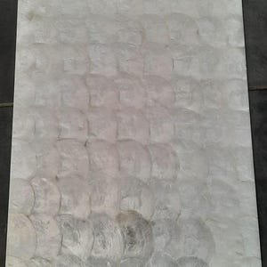 Op de afbeelding: Rechthoekige, iriserende parelmoer tegel. Het oppervlak is bedekt met overlappende, halfronde vormen, waardoor een getextureerd, glinsterend effect ontstaat. De tegel heeft een parelmoer, gebroken witte kleur, die licht reflecteert. Ideaal voor woondecoratie en knutselprojecten.