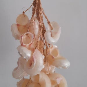 Peut inclure: Un bouquet de coquillages blancs liés ensemble avec de la ficelle, suspendu à une ficelle brune.