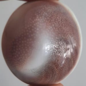 Op de afbeelding: Close-up van een rond, gepolijst, lichtbruin object met een gespikkelde oppervlakte. Een helder, wit, reflecterend gebied is zichtbaar op het oppervlak. Het object lijkt een natuurlijk materiaal te zijn, mogelijk een steen of schelp.