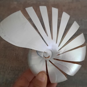 Könnte beinhalten: Eine weiße Nautilus-Schalen-Skulptur aus recyceltem Kunststoff. Die Schale ist geöffnet und zeigt das komplizierte Spiralmuster im Inneren.