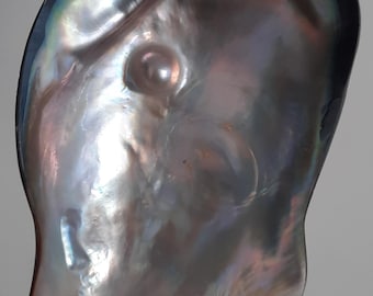 Concha: perla nativa de Pteria