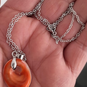Peut inclure: Un collier en chaîne argent avec un pendentif rond en coquille orange et blanche.