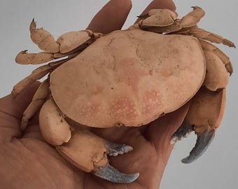 現在、この商品の在庫はありません - Etsy