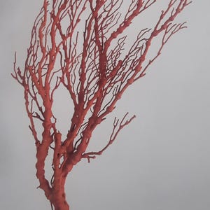 Può includere: Una struttura simile a un ramo con una superficie opaca color terracotta. L'oggetto presenta un fusto principale spesso e strutturato che si divide in numerosi ramoscelli sottili e affusolati rivolti verso l'alto, creando una silhouette complessa.