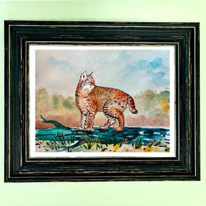 Bobcat art print, multiple sizes