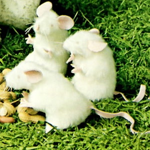 Mouse , Mice Vintage Sewing Pattern Fur White Mice Pattern Toy Dolls  Soft Body Plush Stuffed