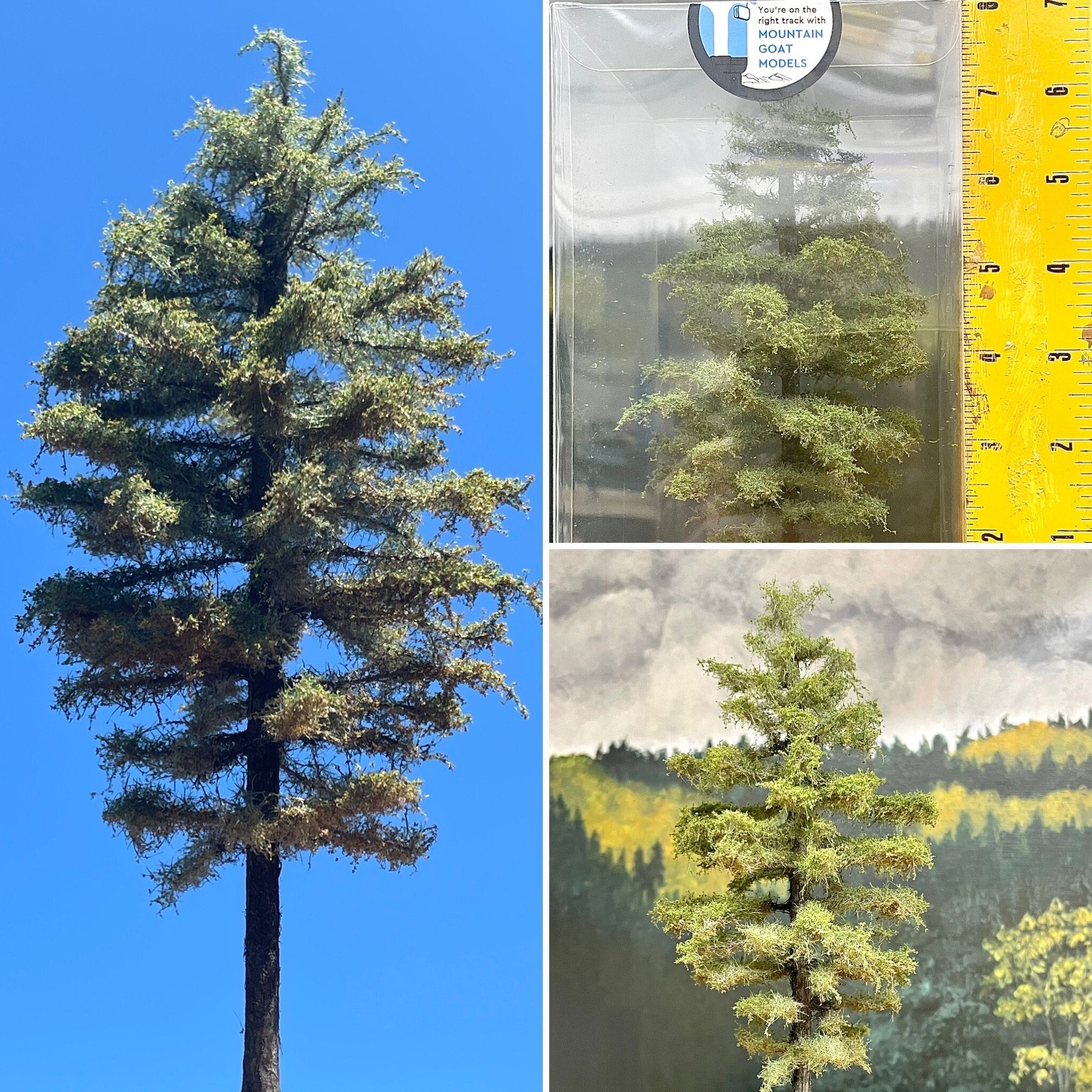 N scale pine trees on sale