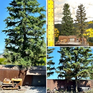 Diorama Old Boxcar in the Woods: HO scale Model Train railway trains display railway track creek stream tree forest 1/87