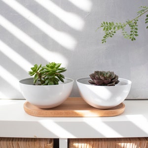 Mini Succulent Pot, Succulent Pots With Saucer, Mini Plant Pot, Succulent Pot