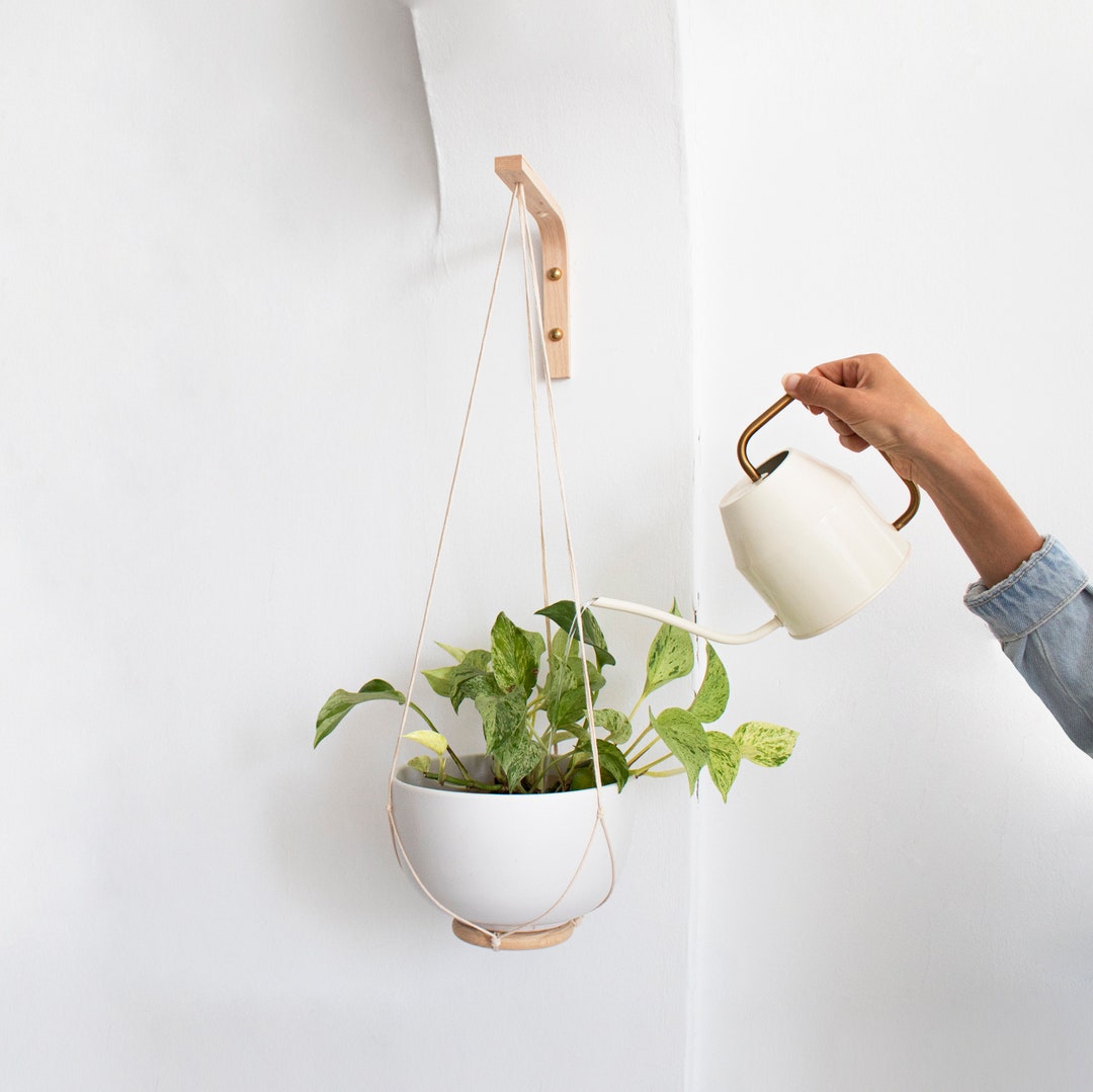 Wall Hook for Hanging Plants, Wood Plant Hanger Indoor or Outdoor, Wall Plant Holder, Plants