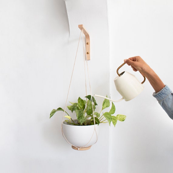 prieel duizend Academie Wandhaak voor hangende planten houtplantenhanger binnen of - Etsy Nederland