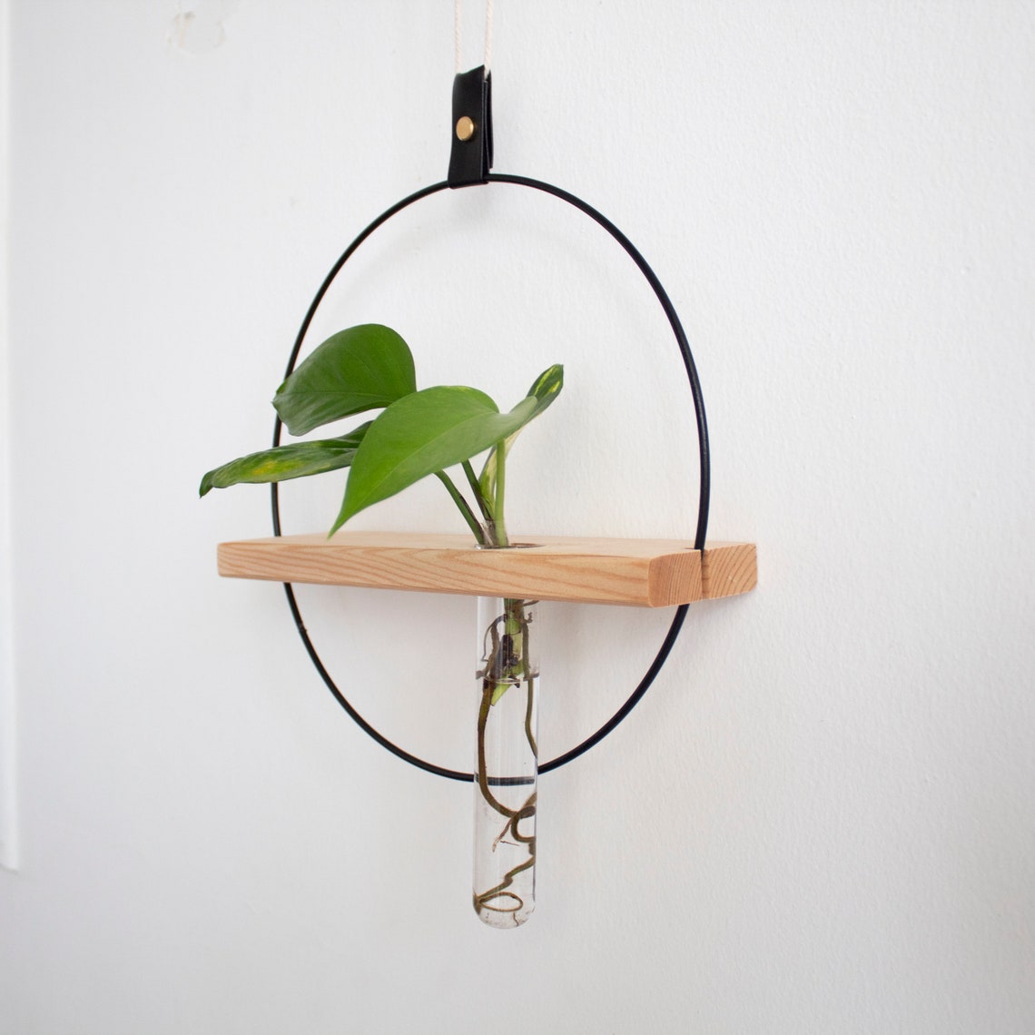 Propagation Station Wall Plant Propagation Wall Hanging Test - Etsy