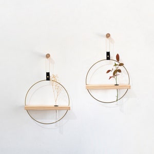 Propagation Wall Plant Holder Set, Test Tube Propagation, Propagation Station Wall, Propagating Plants, Wall Hanging Propagation Station