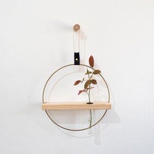 Propagation Station Wall Hanging, Test Tube Planter, Propagating Plants, Wall Propagation Planter, Test Tube Propagation Station