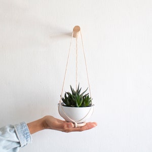 Pode incluir: Um vaso suspenso de cerâmica branca com uma planta suculenta verde. O vaso é suspenso por uma corda natural de um pino de madeira em uma parede branca. A planta tem folhas listradas em verde escuro e branco.
