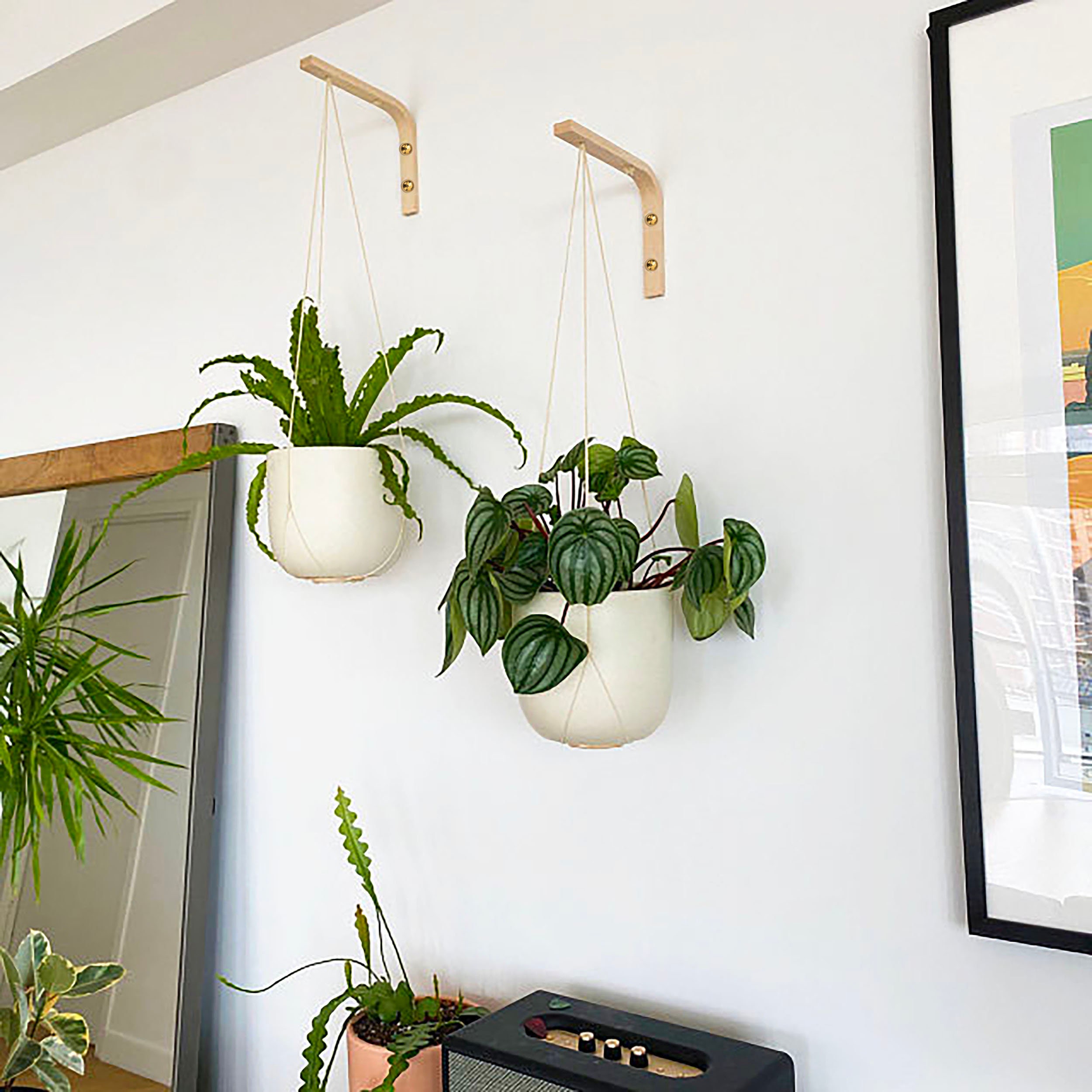Buy Two Wall Plant Hanger, Wall Hook for Plants, Wooden Plant Hanger, Wall  Plant Hook, Hanging Planter, Hanging Plant Holder Online in India 