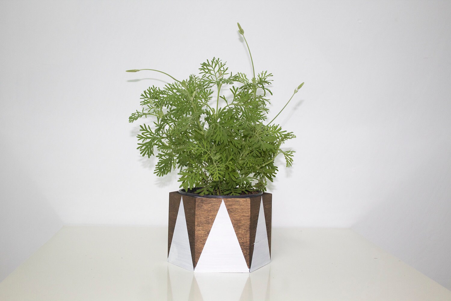 Geometric Hexagon Planter Wooden Hexagon Planter Succulent Etsy