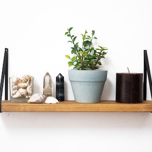 Puede incluir: Una estantería de madera con correas de cuero negro, que presenta una planta en maceta, una vela y un frasco de vidrio lleno de conchas marinas. También hay dos puntas de cristal en la estantería.