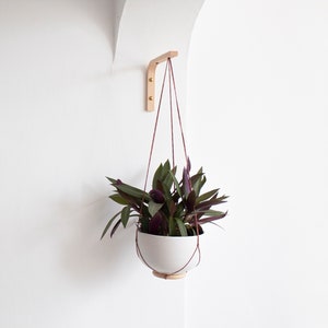 Wall Plant Hook Rose Thread Wall Plant Hanger Wall Hook For Hanging Plants Wall Plant Holder Wooden Plant Hanger