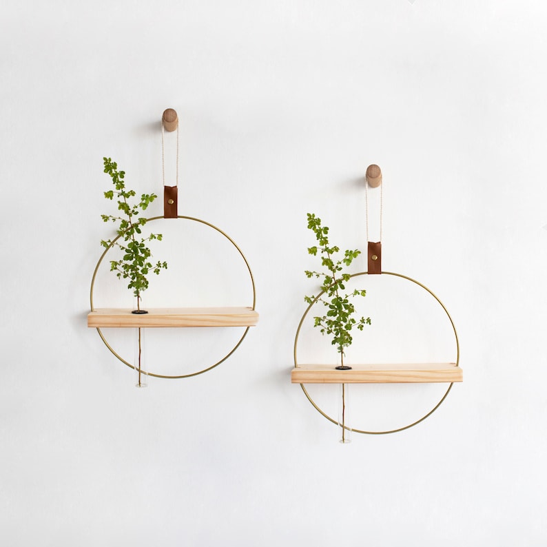 May include: Two gold metal circular shelves with wooden shelves and leather straps hanging on a white wall. Each shelf has a small green plant in a glass tube.