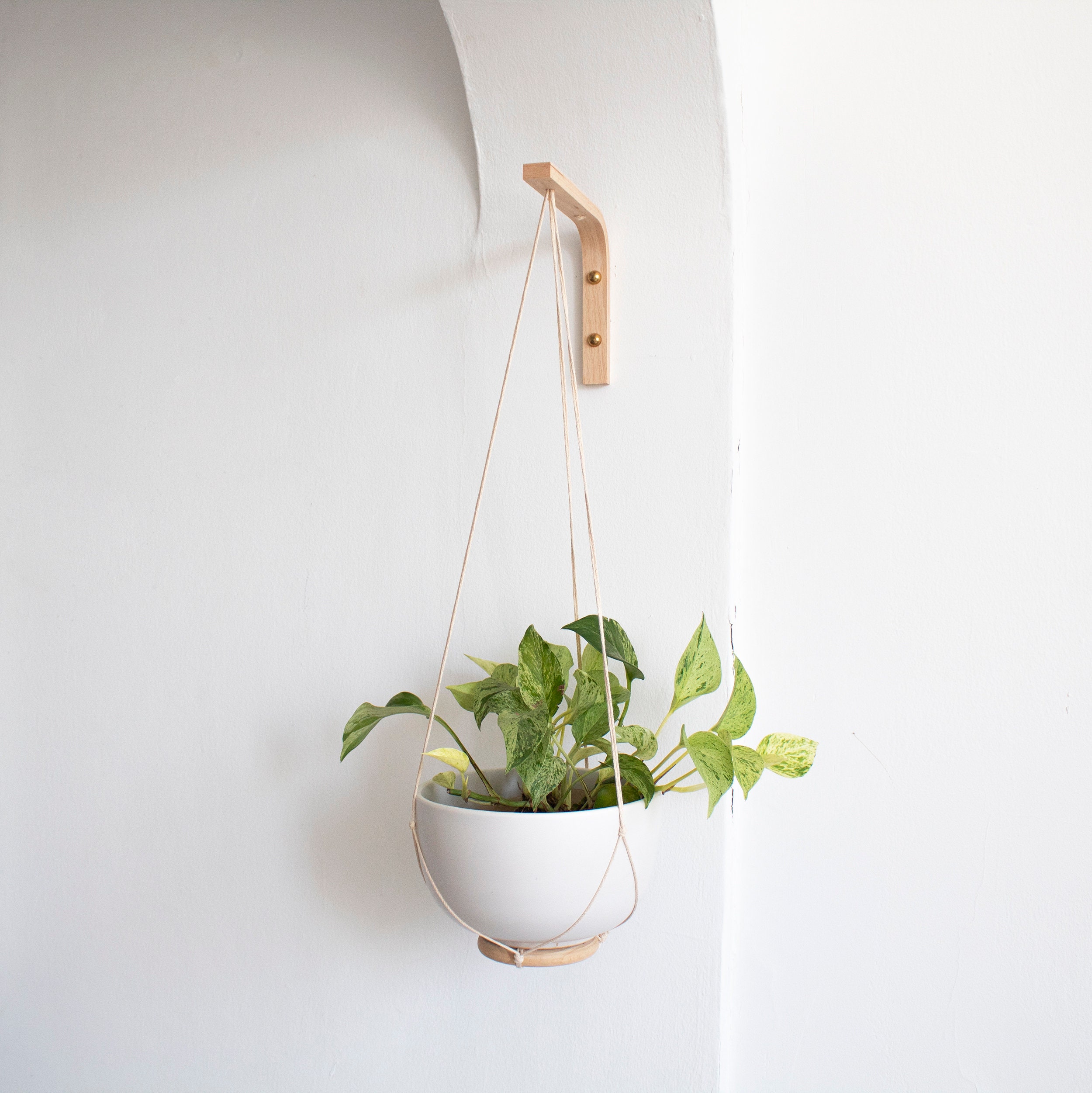 Saffruff Lot 2 Crochets Muraux 15,2 Cm – Support Plantes Suspendues Extérieur, Charge 20 Kg, Fer Massif Anti-Rouille Pour Fleurs, Lanternes