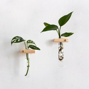 How to make a minimal propagation wall