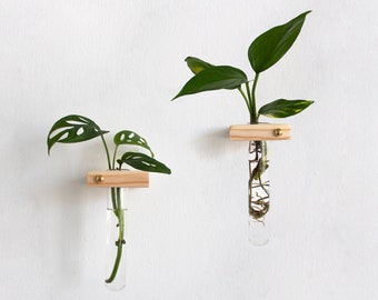 Juego de 2 estaciones de propagación, soporte de pared para propagación de plantas, tubos de propagación de plantas, soporte para plantas con tubos de ensayo, macetero de propagación de pared