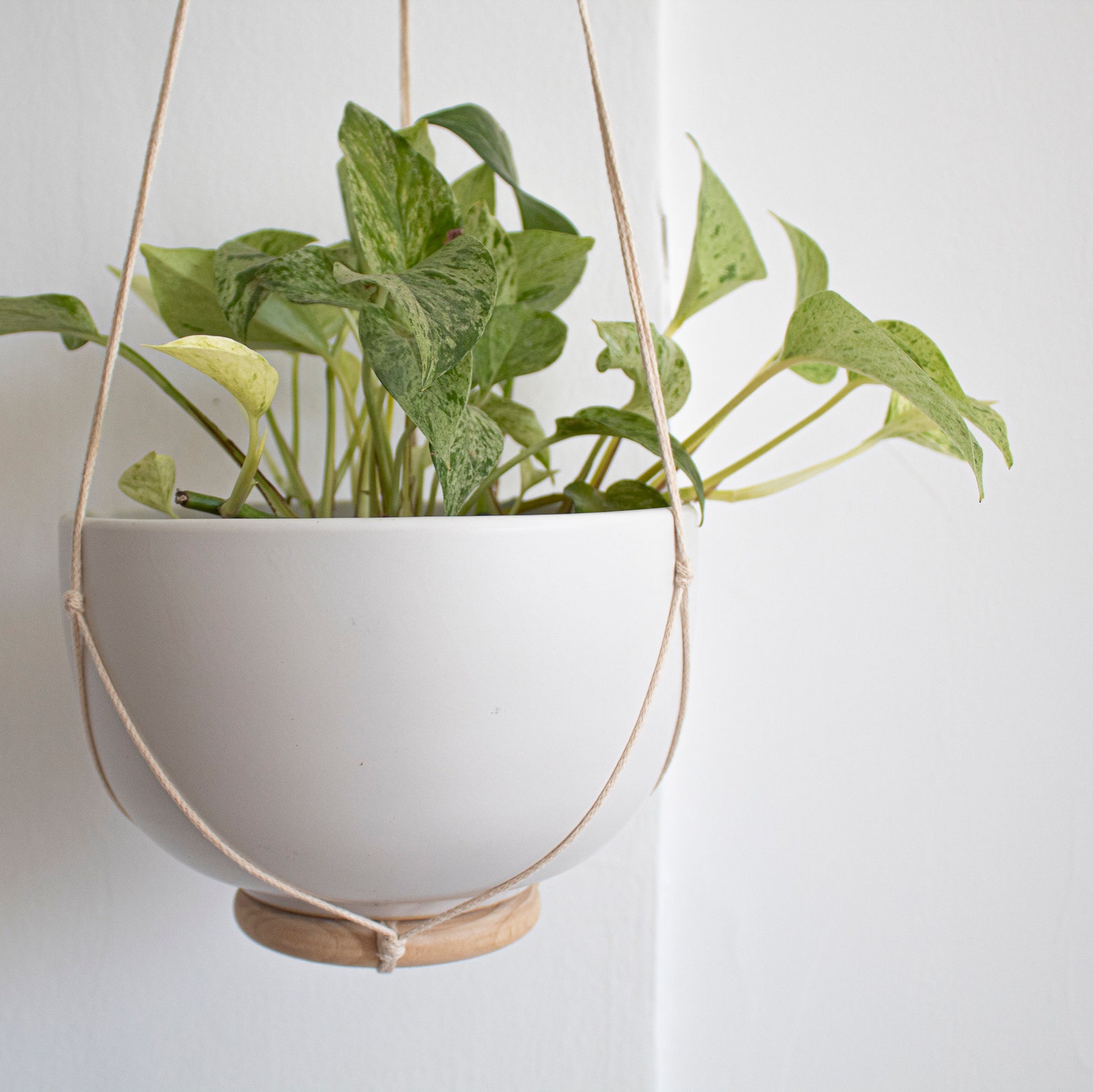 Wall Hook for Hanging Plants Wood Plant Hanger Indoor or Etsy