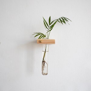 Plant Propagation Wall Hanging, Propagation Station Wall, Test Tube Planter, Wall Hanging Propagation, Wall Plant Hanger, Wall Plant Holder