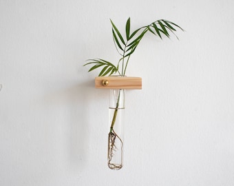 Plantas de propagación para colgar en la pared, estación de propagación para pared, jardinera de tubo de ensayo, propagación para colgar en la pared, colgador de plantas para pared, soporte para plantas para pared