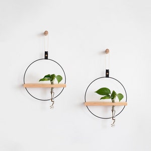 Two Propagating Shelves, Propagation Station Wall Hanging, Test tube Planter, Wall Propagation planter, Shelves For Dried Flowers
