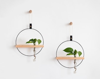 Two Propagating Shelves, Propagation Station Wall Hanging, Test tube Planter, Wall Propagation planter, Shelves For Dried Flowers