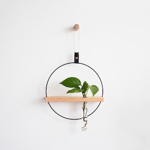 Plant Propagation Wall Hanging, Propagation Station Wall Hanging, Test Tube Plant Holder, Wall Propagation Planter, Propagation Shelf